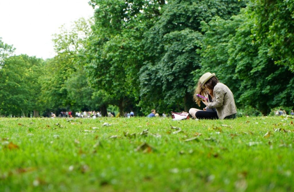 Park Maryny Falskiej znów zieleni się dzięki nowym nasadzeniom!